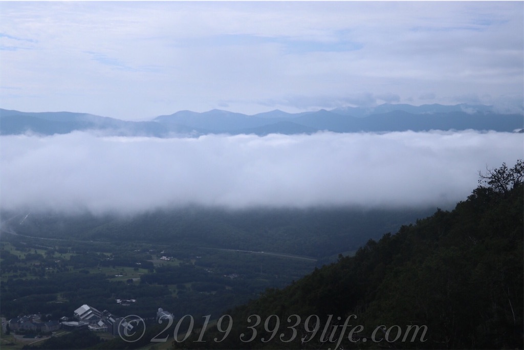 f:id:sakusaku-happy:20190819120537j:image