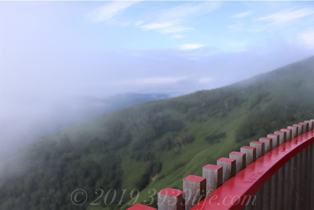 f:id:sakusaku-happy:20190819120543j:image