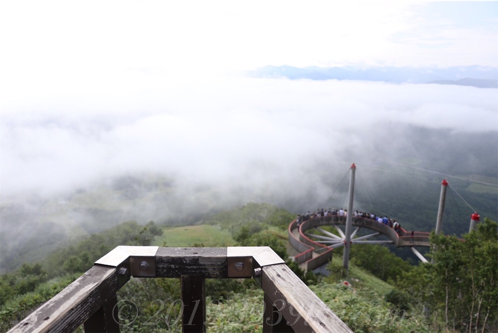 f:id:sakusaku-happy:20190819120556j:image