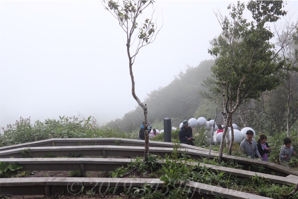 f:id:sakusaku-happy:20190819120601j:image