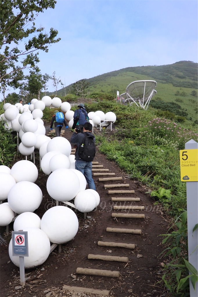 f:id:sakusaku-happy:20190819120607j:image