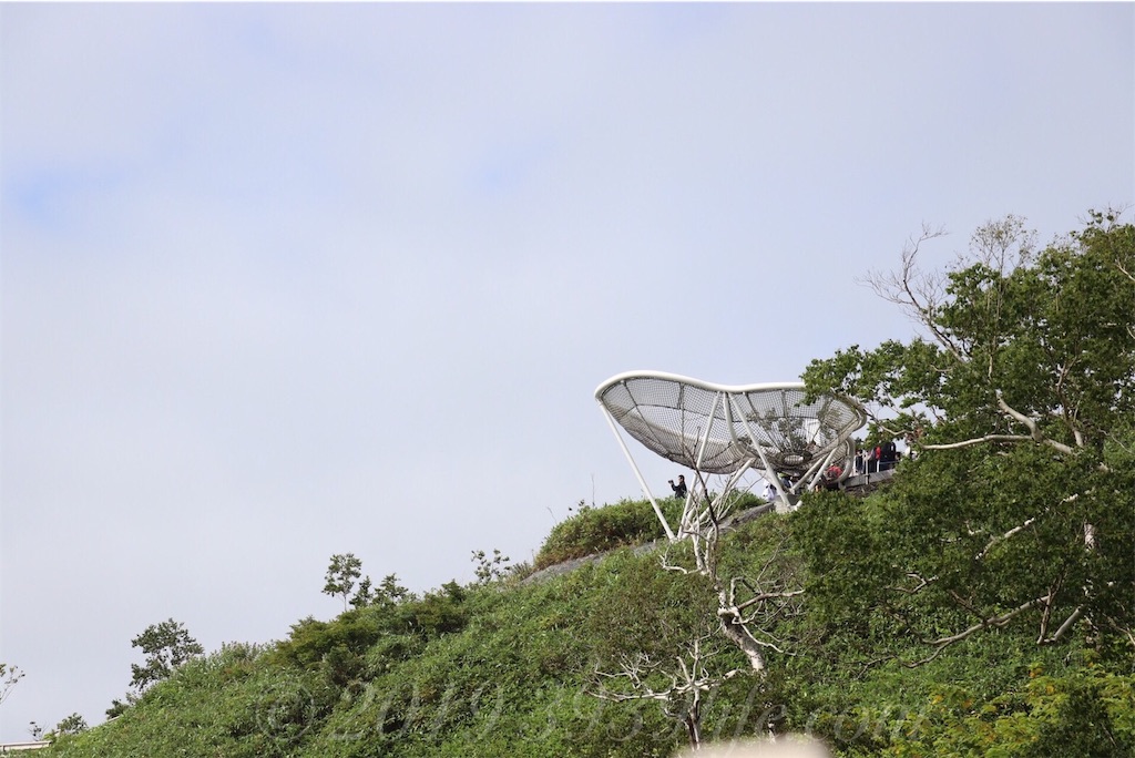 f:id:sakusaku-happy:20190819120611j:image