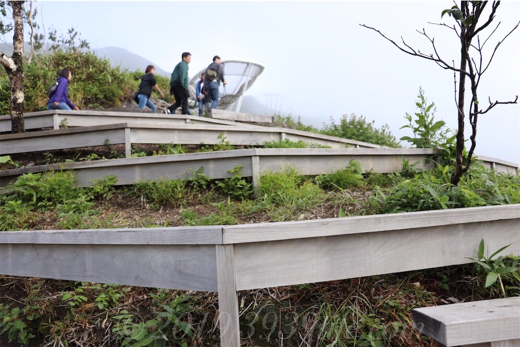 f:id:sakusaku-happy:20190819120614j:image