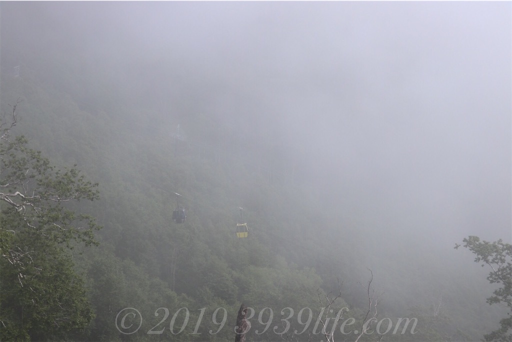 f:id:sakusaku-happy:20190819120616j:image