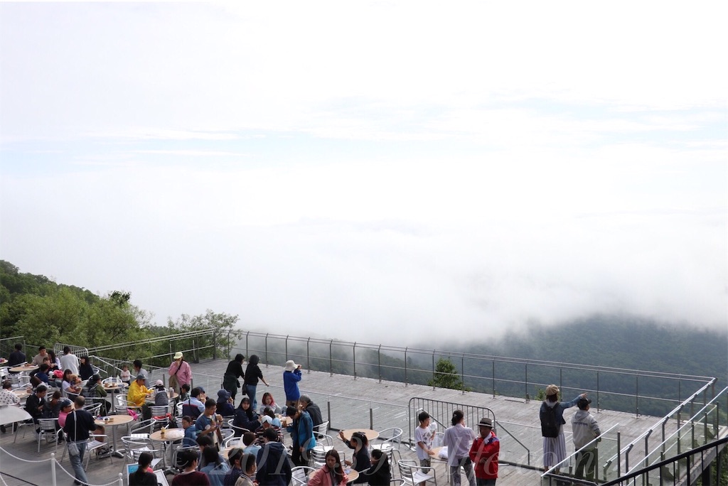 f:id:sakusaku-happy:20190819120622j:image