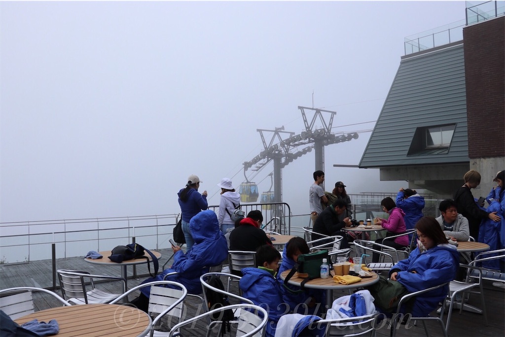 f:id:sakusaku-happy:20190819120625j:image