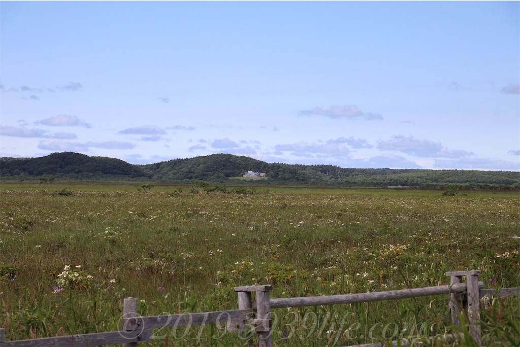 f:id:sakusaku-happy:20190820182434j:image