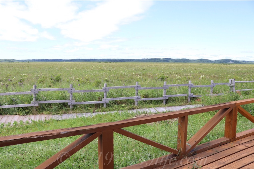 f:id:sakusaku-happy:20190820182455j:image