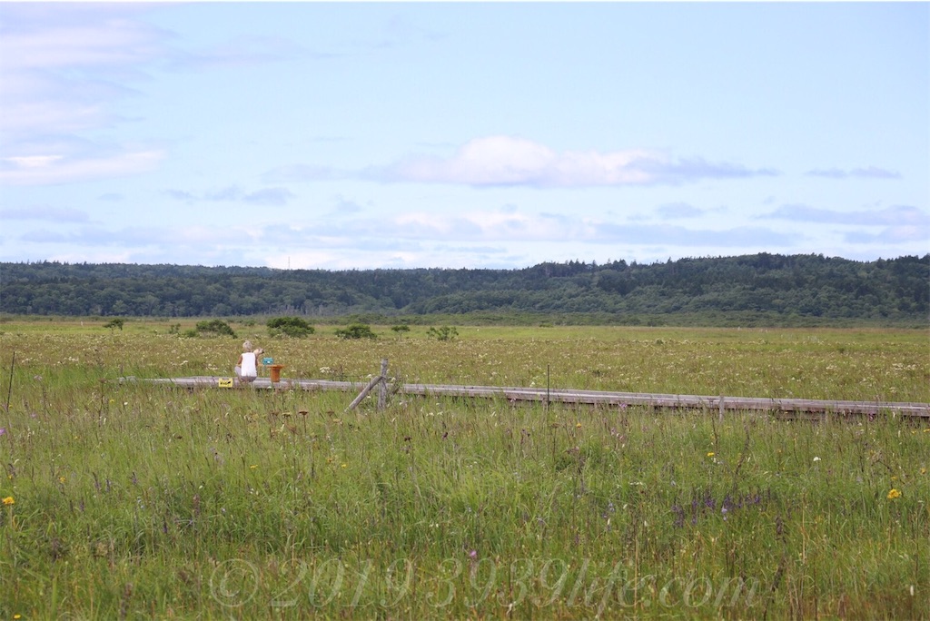 f:id:sakusaku-happy:20190820182459j:image