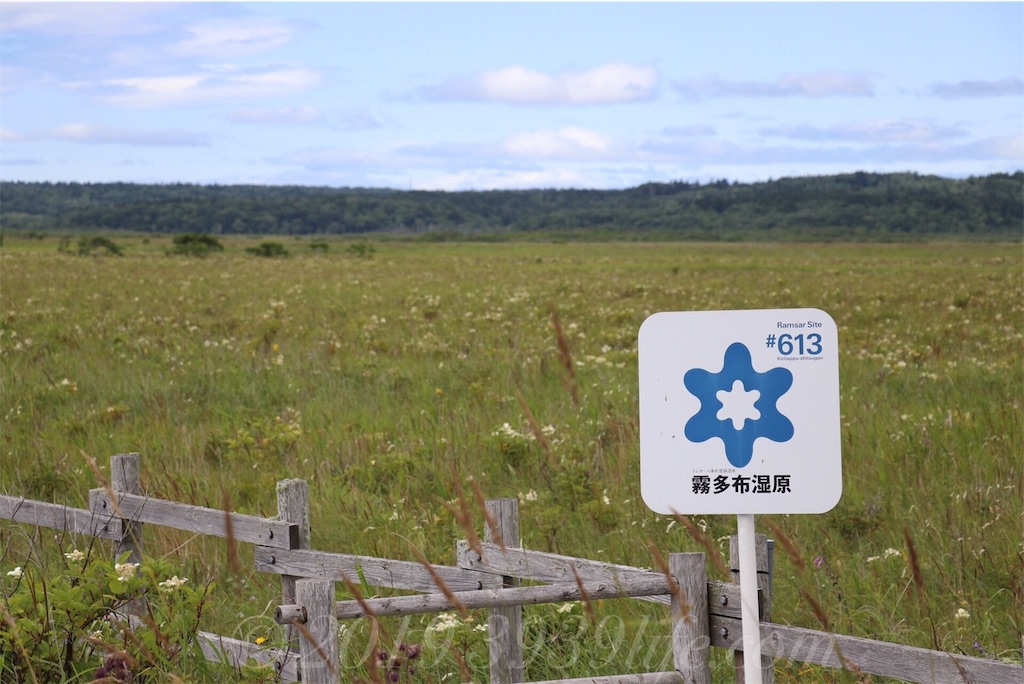 f:id:sakusaku-happy:20190820182513j:image