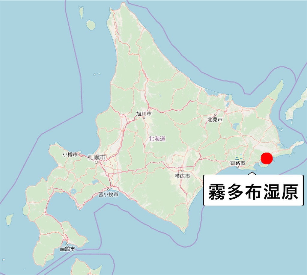 f:id:sakusaku-happy:20190909152550j:image