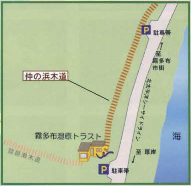 仲の浜木道地図