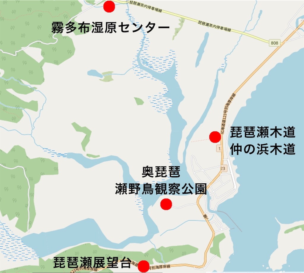 f:id:sakusaku-happy:20190909185123j:image