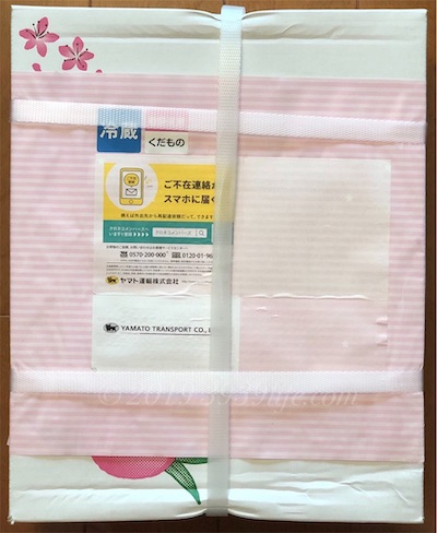 f:id:sakusaku-happy:20191006100817j:plain