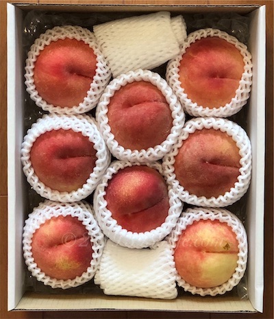 f:id:sakusaku-happy:20191006100905j:plain