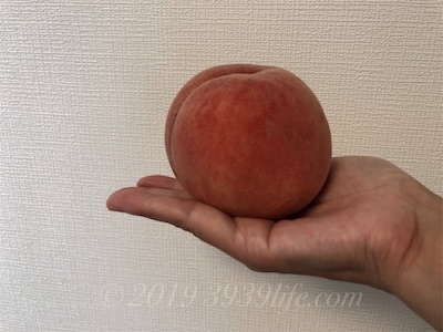 f:id:sakusaku-happy:20191006100927j:plain