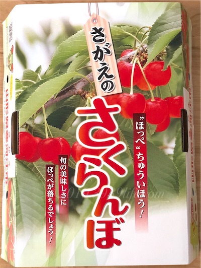 f:id:sakusaku-happy:20191006101031j:plain