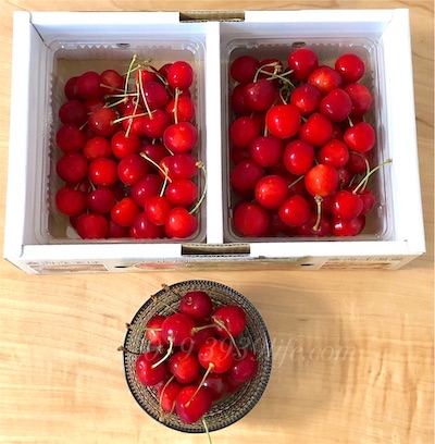 f:id:sakusaku-happy:20191006101106j:plain