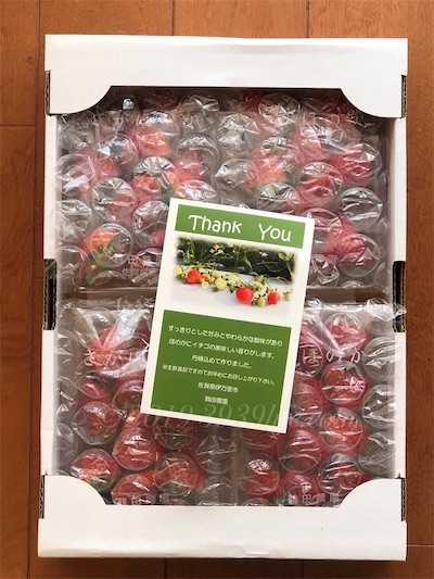 f:id:sakusaku-happy:20191006101251j:plain