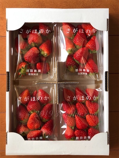 f:id:sakusaku-happy:20191006101308j:plain