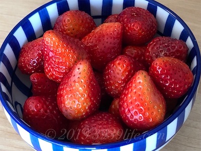 f:id:sakusaku-happy:20191006101327j:plain