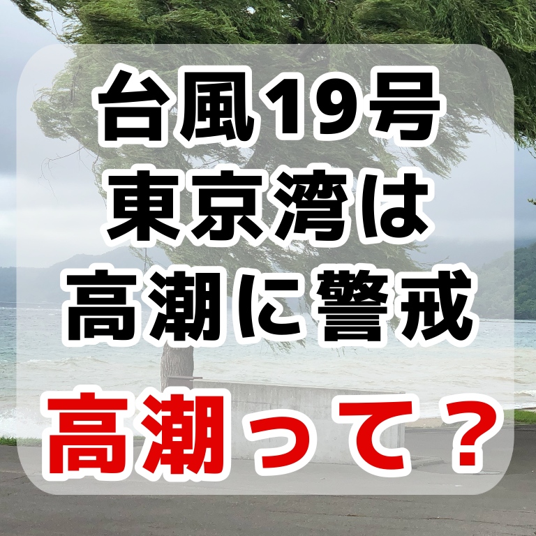 f:id:sakusaku-happy:20191029164128j:plain