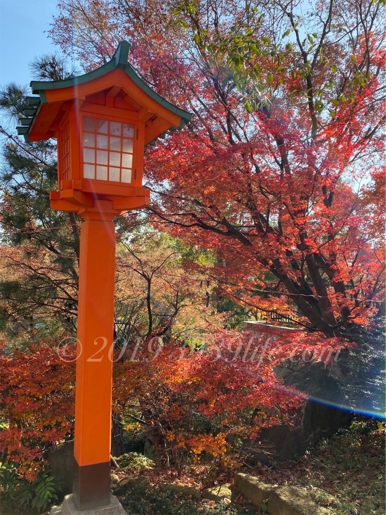 f:id:sakusaku-happy:20191221125152j:image f:id:sakusaku-happy:20191221125152j:image