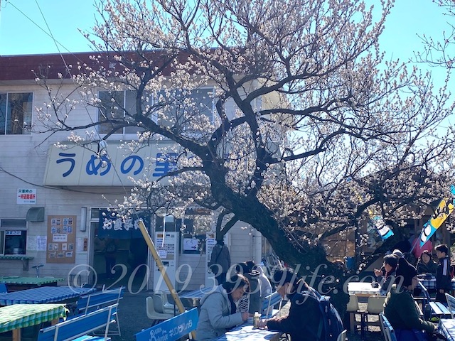 f:id:sakusaku-happy:20200210130930j:plain