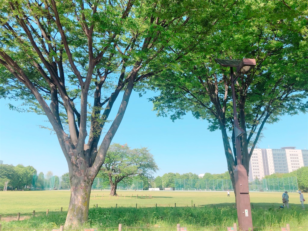 f:id:sakusaku3232:20211004211445j:image f:id:sakusaku3232:20211004211445j:image