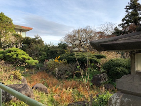 f:id:sakusakuflower0914:20181221202849j:plain