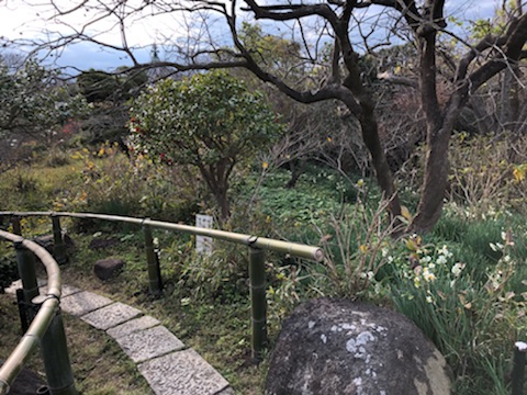 f:id:sakusakuflower0914:20181221202914j:plain