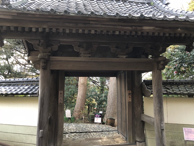 f:id:sakusakuflower0914:20181221202943j:plain