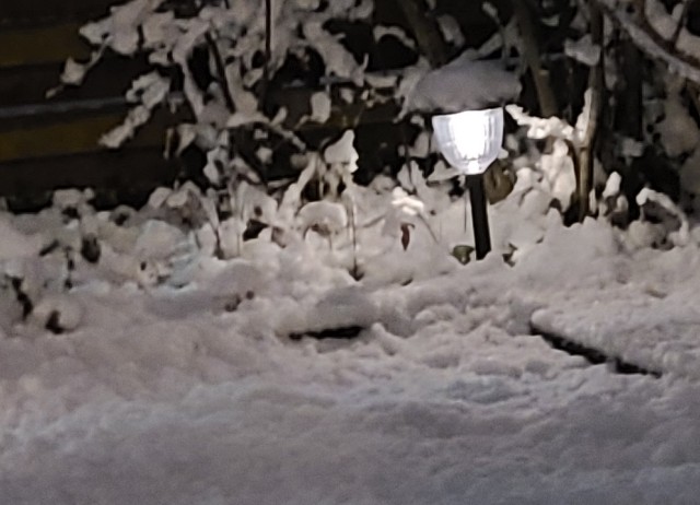 f:id:sakusakura39:20220106174822j:image