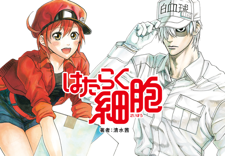 鋼の錬金術師とは マンガの人気 最新記事を集めました はてな 鋼の錬金術師とは マンガの人気 最新記事を集めました はてな