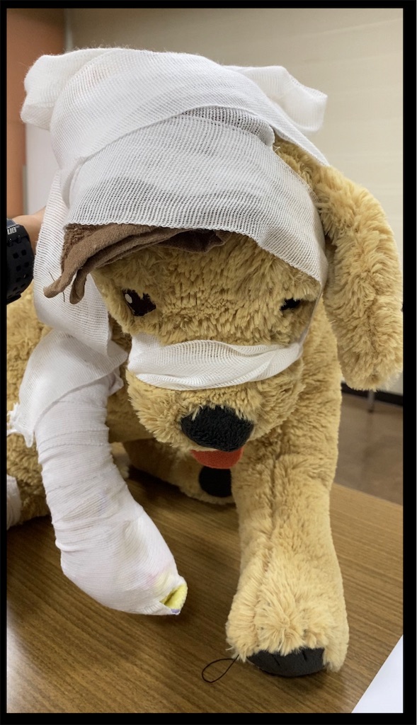 f:id:sakusuzu09:20230918012234j:image