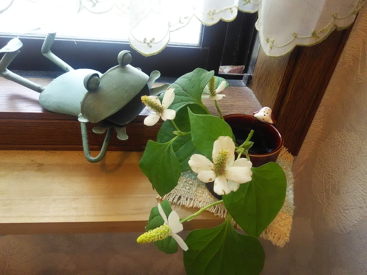 f:id:sakutamatengo:20200627172307j:plain f:id:sakutamatengo:20200627172307j:plain
