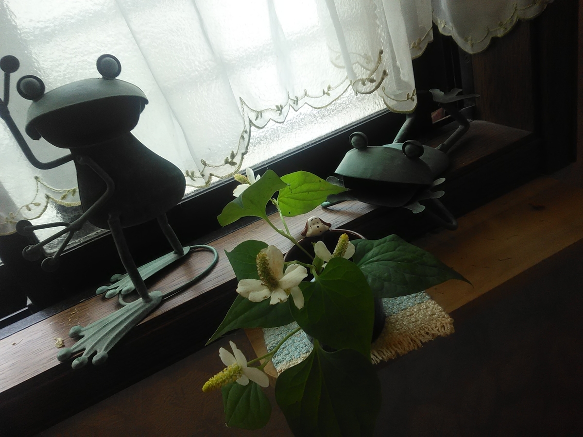 f:id:sakutamatengo:20200627172421j:plain f:id:sakutamatengo:20200627172421j:plain