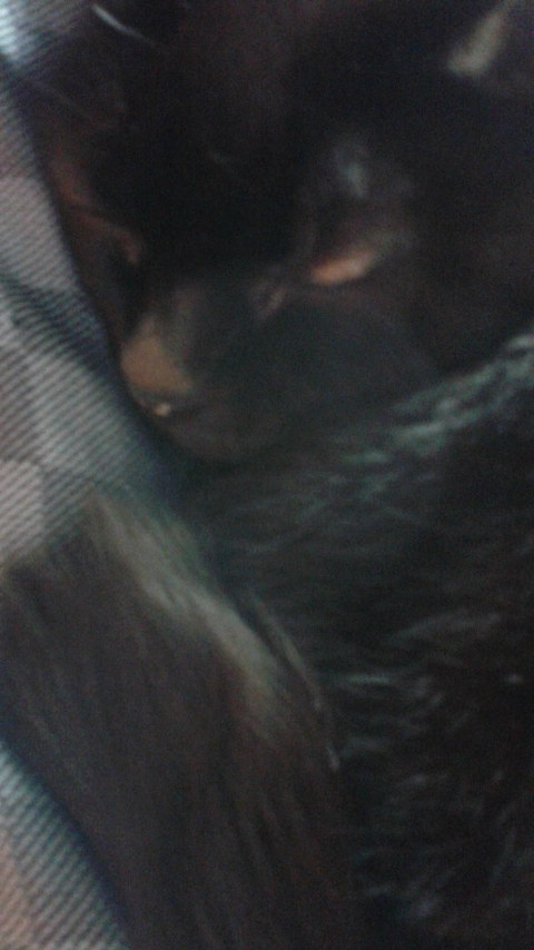 f:id:sakutamatengo:20200911203010j:plain