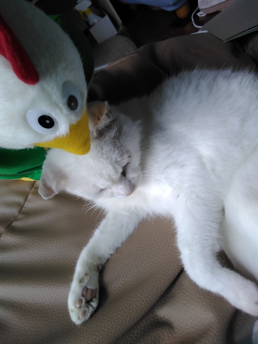 f:id:sakutamatengo:20201003131226j:plain