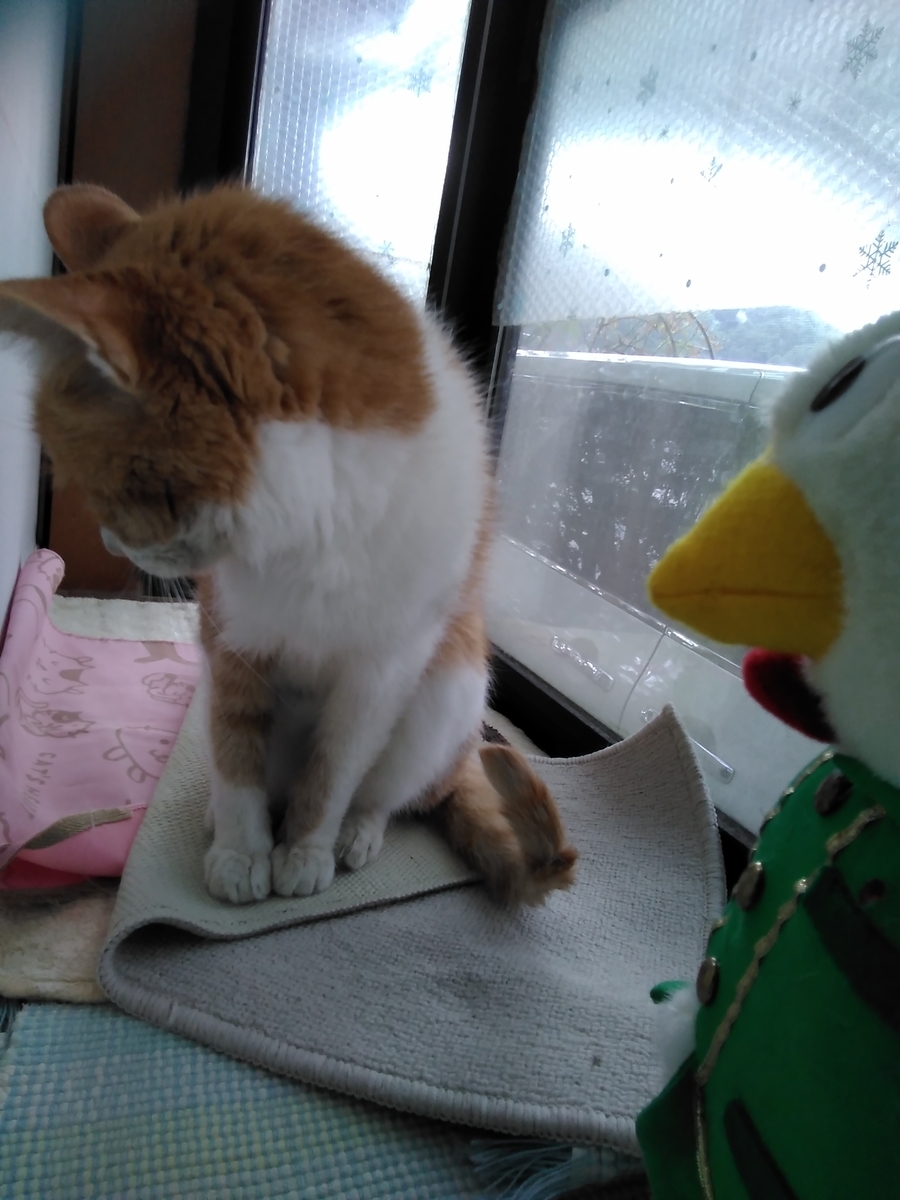 f:id:sakutamatengo:20201003131754j:plain