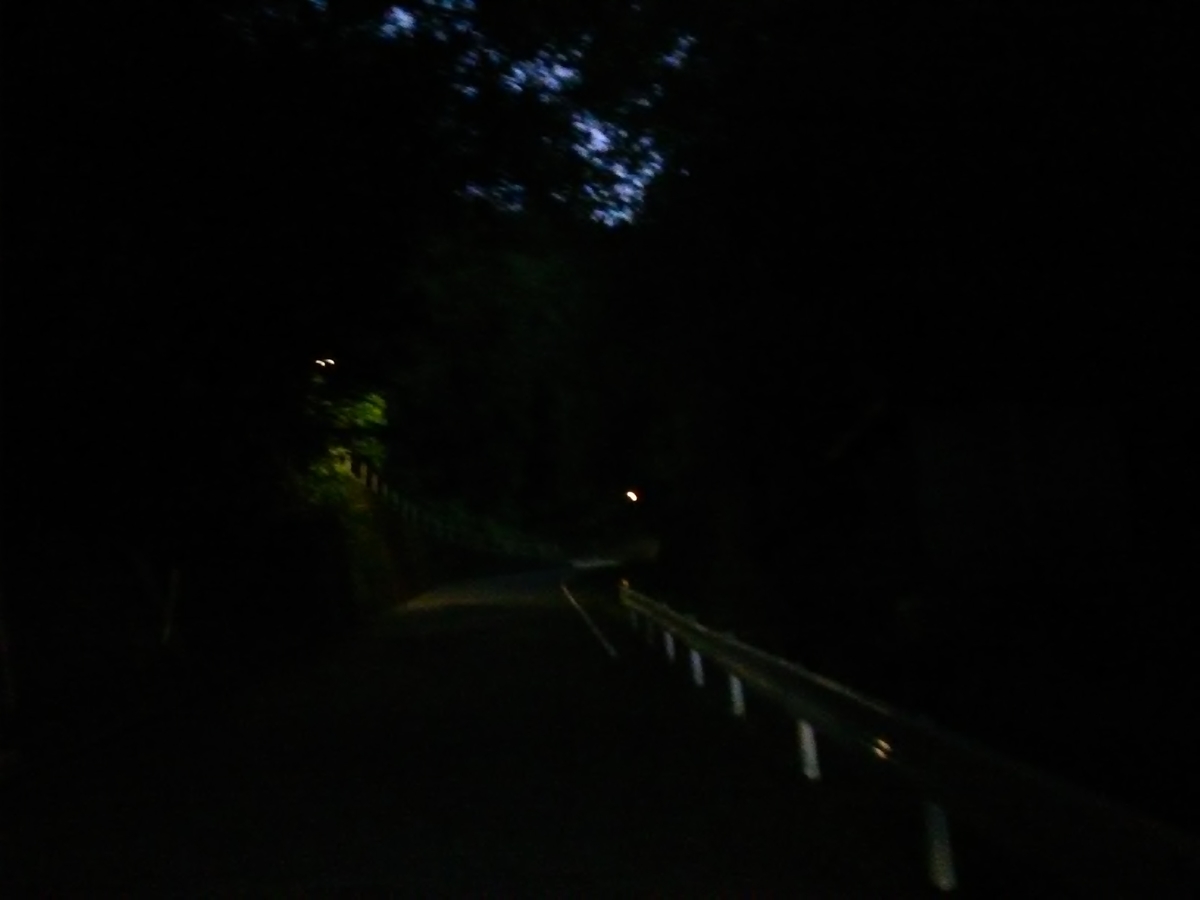 f:id:sakutamatengo:20201021192544j:plain f:id:sakutamatengo:20201021192544j:plain