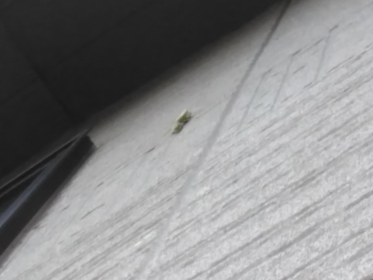 f:id:sakutamatengo:20201101160845j:plain f:id:sakutamatengo:20201101160845j:plain