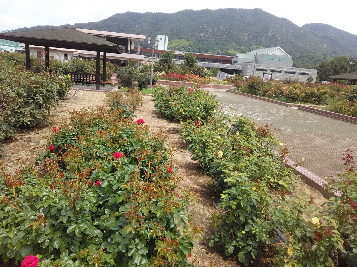 f:id:sakutamatengo:20201223214002j:plain