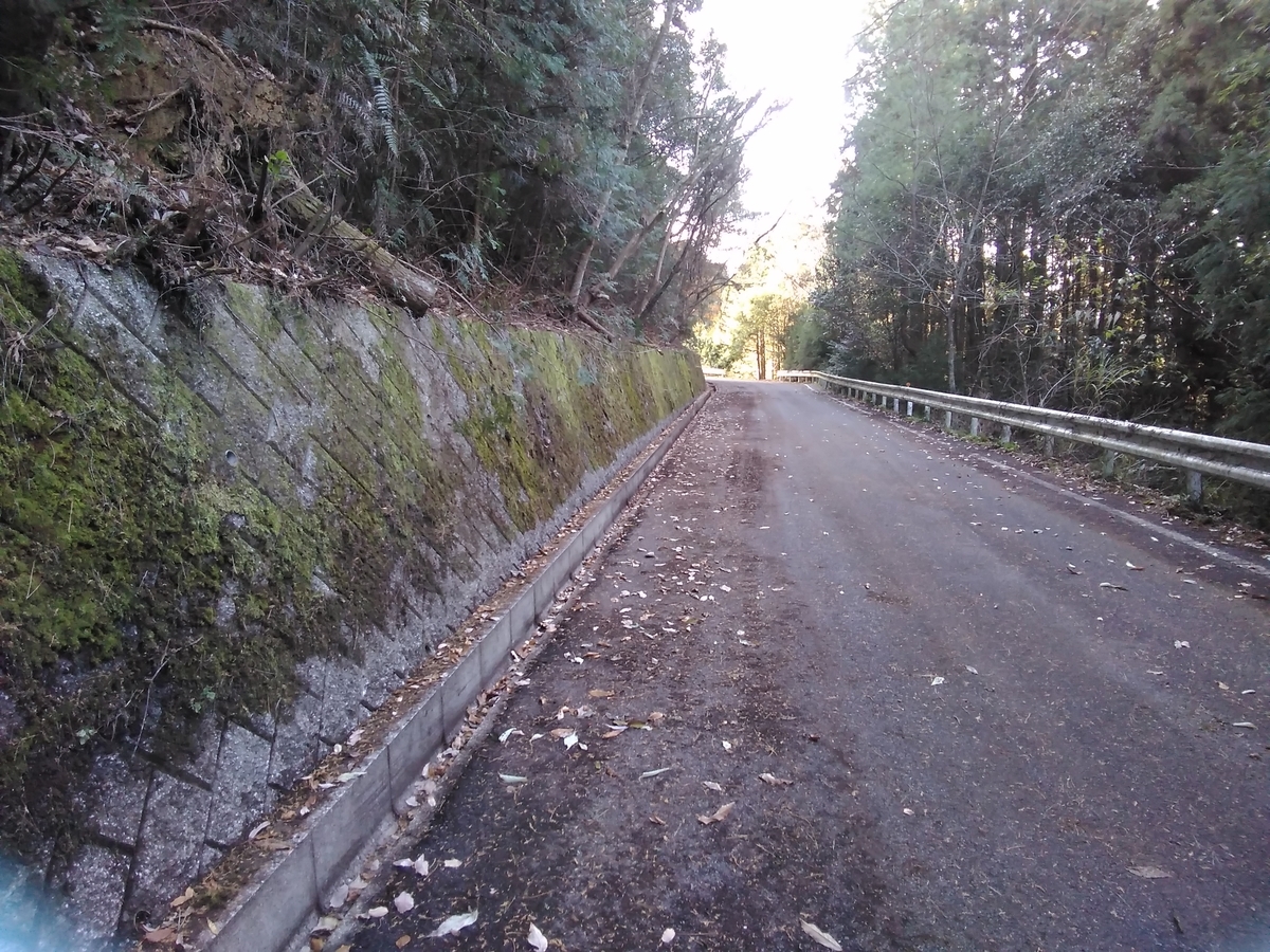 f:id:sakutamatengo:20201227204530j:plain