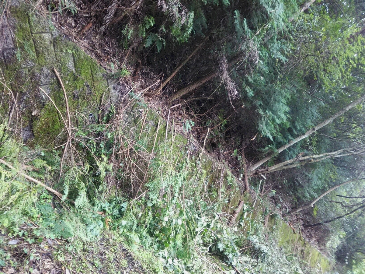 f:id:sakutamatengo:20201227205506j:plain