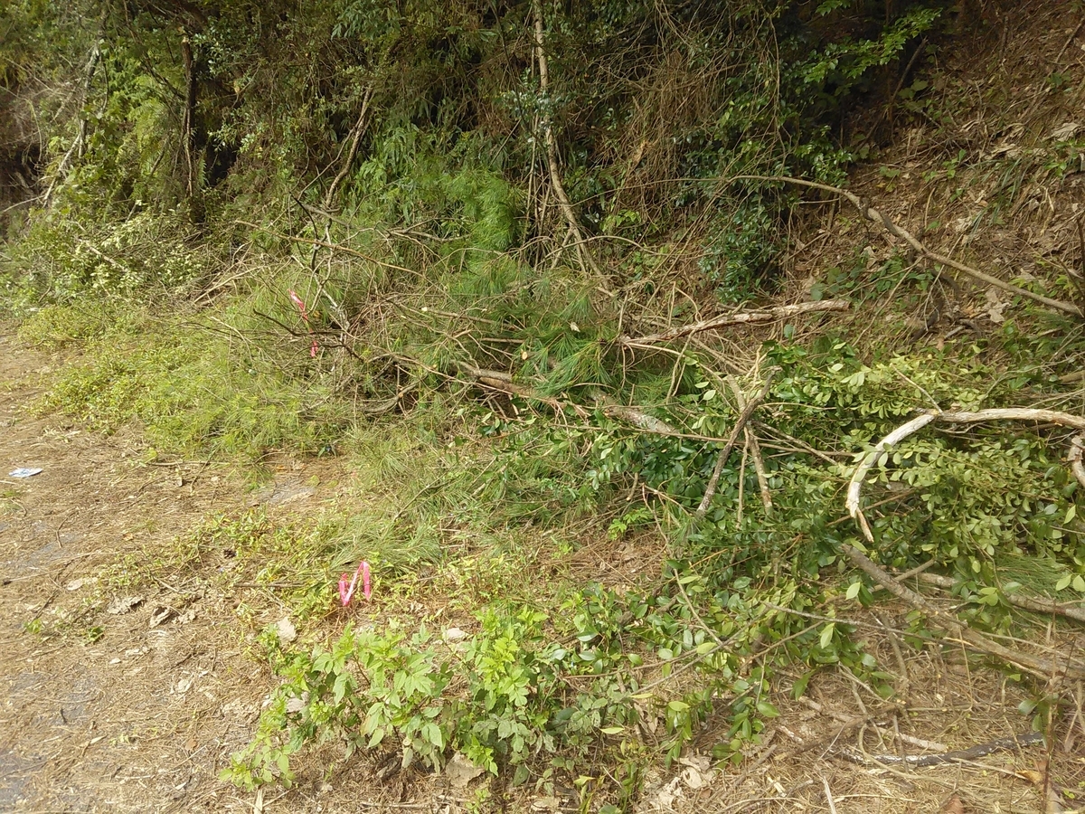 f:id:sakutamatengo:20201227205651j:plain