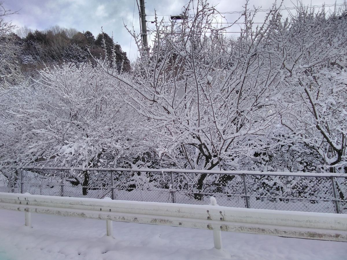 f:id:sakutamatengo:20210218192304j:plain