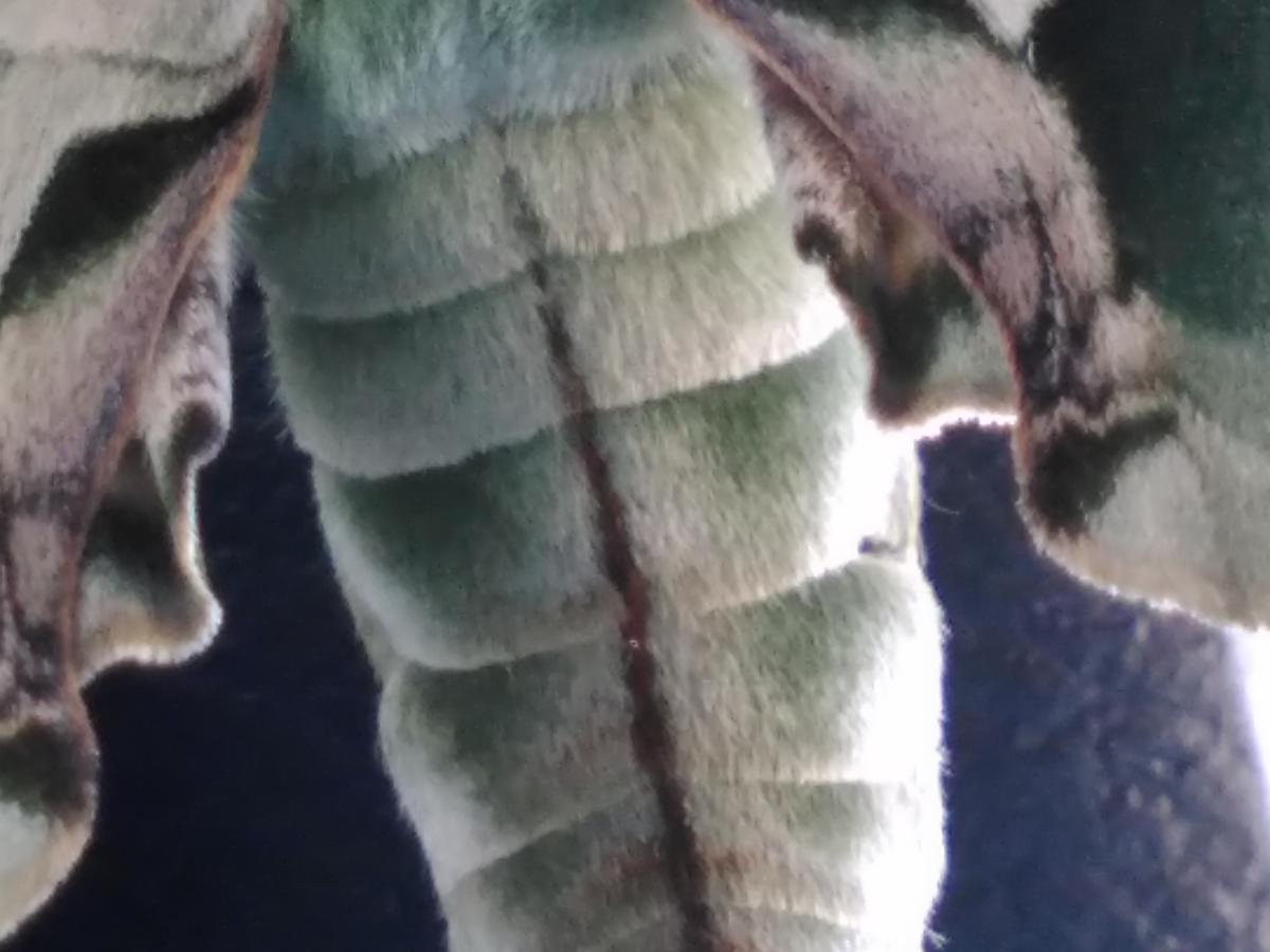 f:id:sakutamatengo:20210630203637j:plain