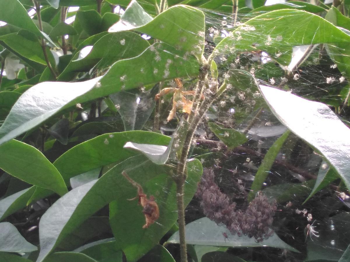 f:id:sakutamatengo:20210710213457j:plain