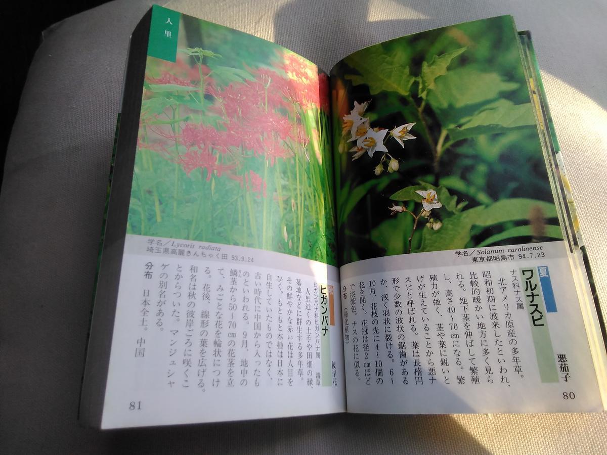 f:id:sakutamatengo:20211102195018j:plain